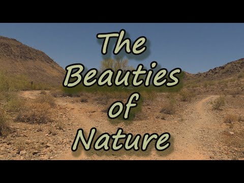 The Beauties of Nature | Short Film