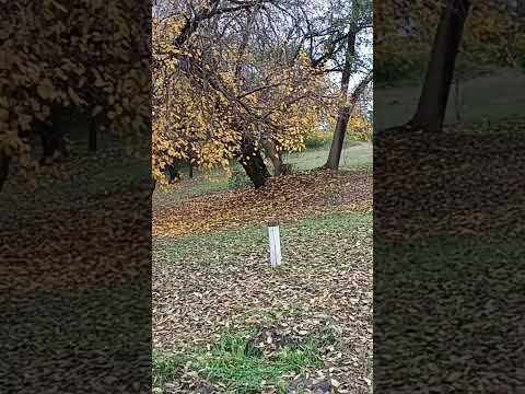 Sector Vado, Villa del Totoral Córdoba Argentina