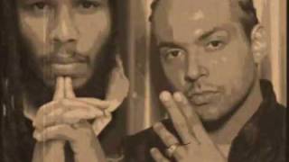 Ziggy Marly ft. Sean Paul - Three Little Birds