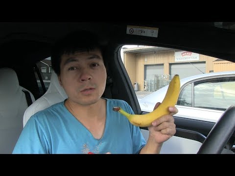 Teslabjørn's vlog 2017.07.03