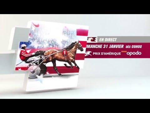 Prix d'Amérique Opodo 2016