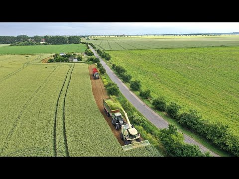 Zimbabwe the breadbasket of Africa | AgroElite Episode 1