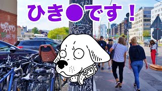 ひき肉です。とチャットBotに言わせてみた。