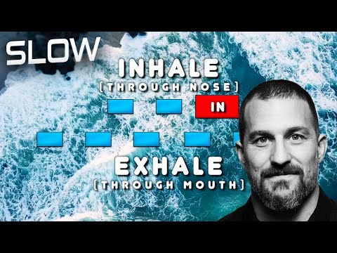 Guided Physiological Sigh (Slow) | Huberman Labs Breathing Technique