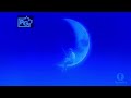 Madagascar 3 Europe S Most Wanted 2012 Family Intro