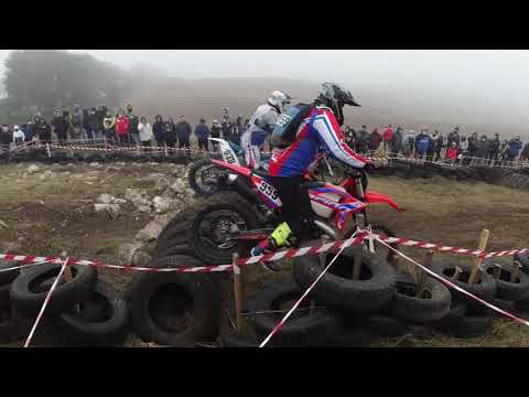 királyválasztó 2020