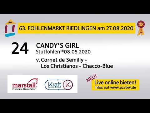 24 CANDYS GIRL - SF v. Cornet de Semilly - Los Christianos - Fohlenauktion Riedlingen 2020