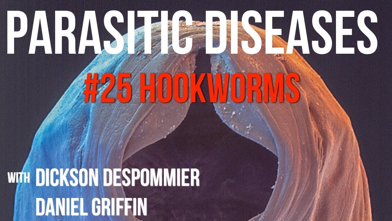 Parasitic Diseases Lectures #25: Hookworms