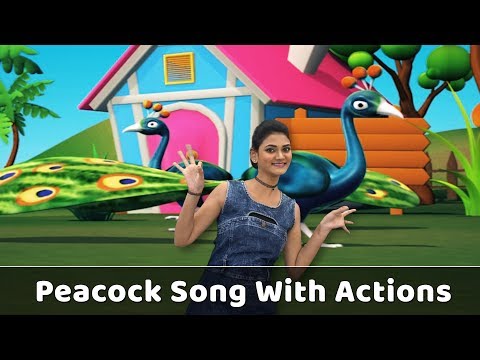 Peacock Song For Babies | Peacock Action Song | Peacock Rhyme With Actions | Bird Songs For Kids