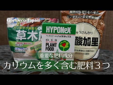 自分で卵の殻を作るための自家製注入天然肥料の緑の植物