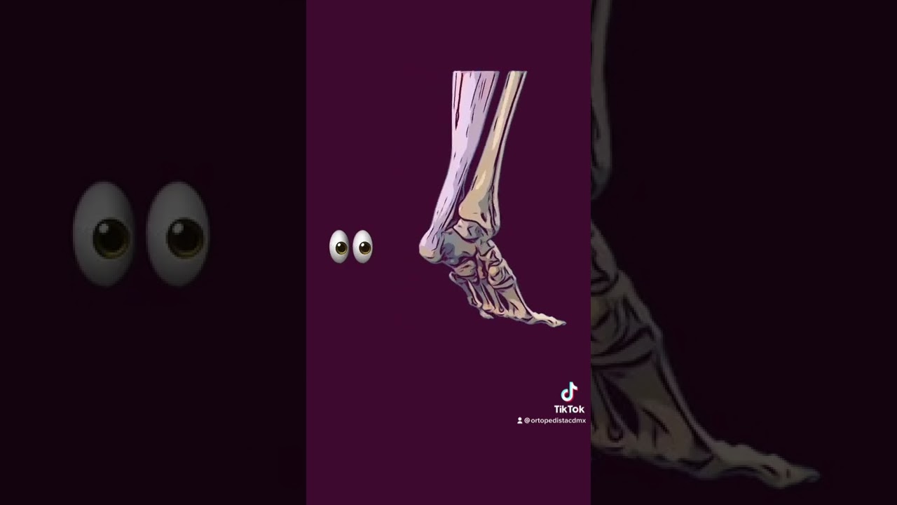 Jaime Sánchez Sandoval-6