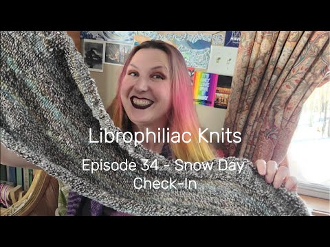 Librophiliac Knits - Episode 34 - Snow Day Check-In