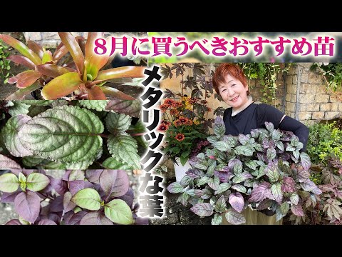 園芸 家庭用の丈夫な植物
