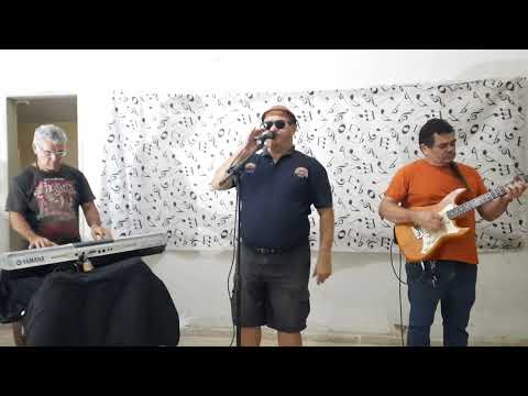 Cão Sem Dono - Alípio Martins