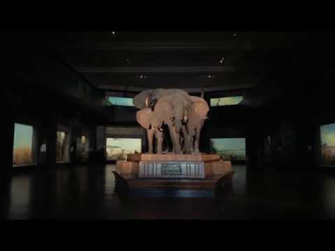 CURIOSITY AND CONTROL TRAILER