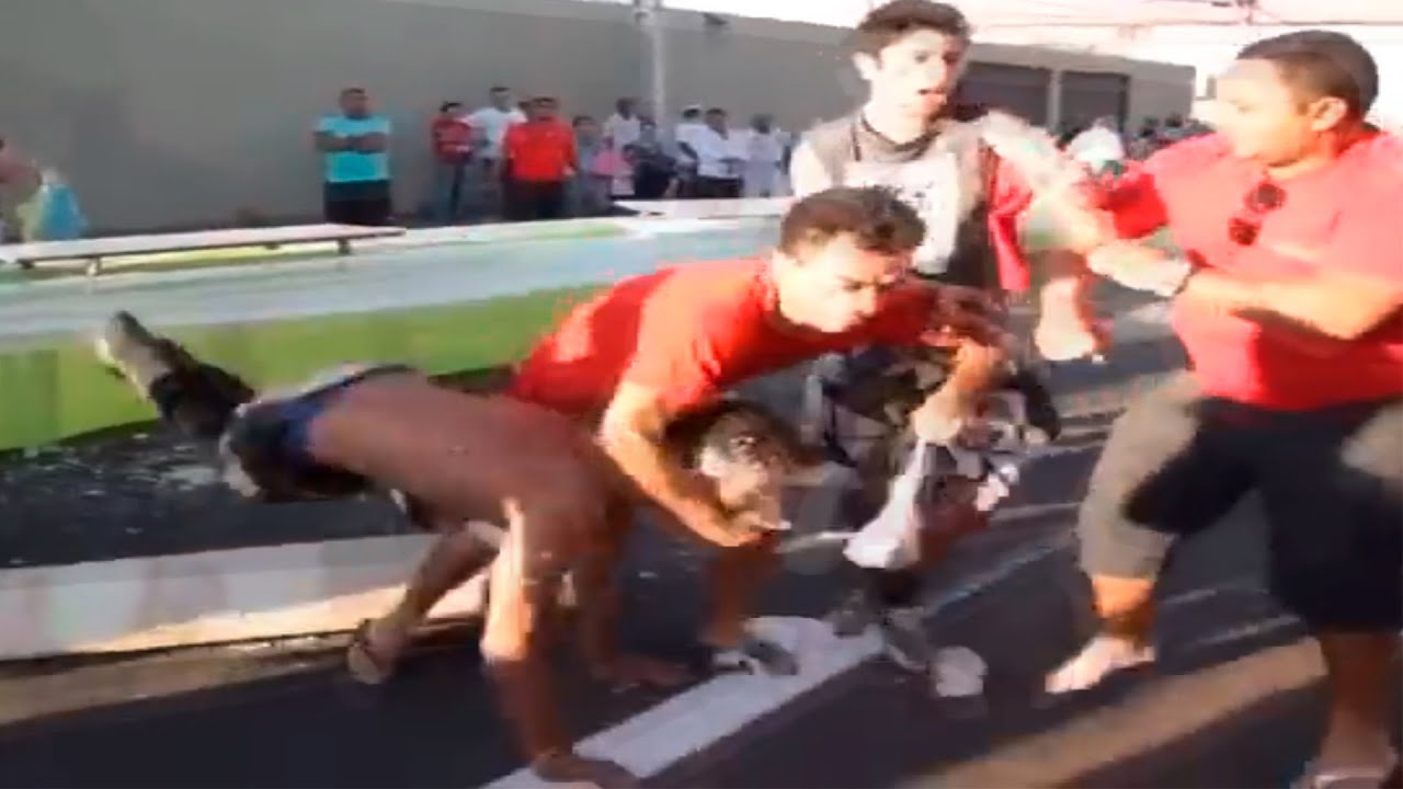 Brigando pelo Bolo da Prefeitura kkkkk