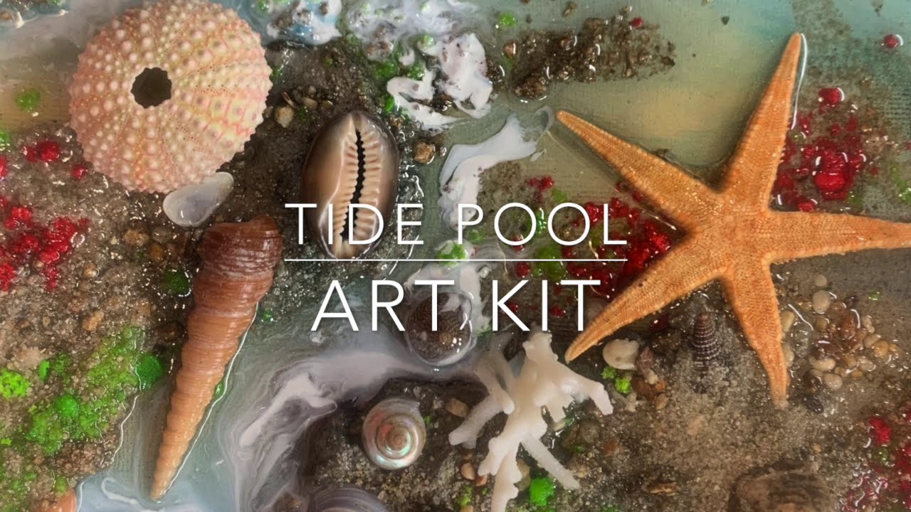 Tide Pool Art Kit Tutorial Video