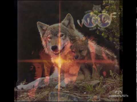 Darryl Way's WOLF ‎– Canis Lupus (1973) FULL ALBUM! ☝😉