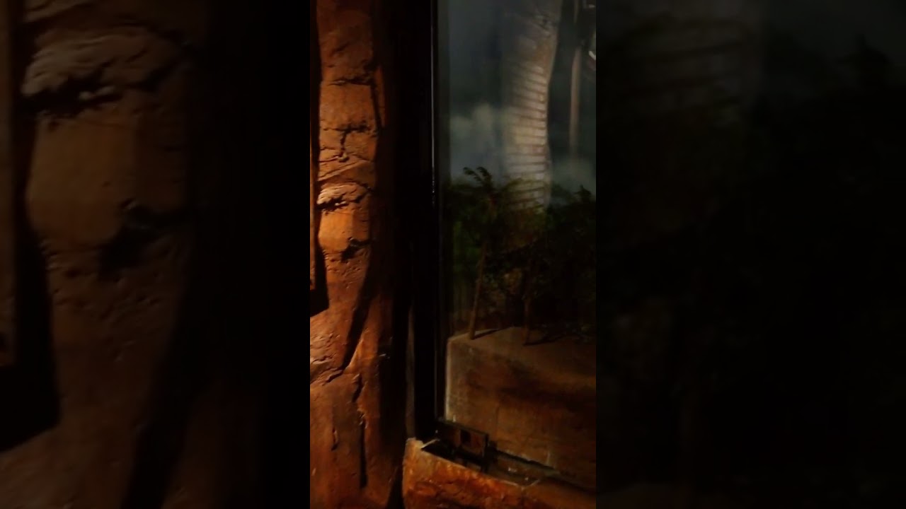 YouTube Short thumbnail