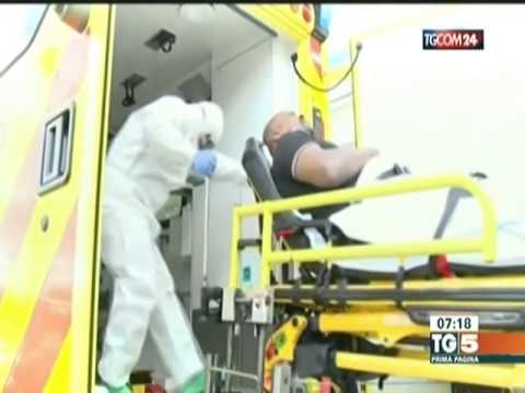 Titoli TG News Italia 14-Ottobre-2014 AM