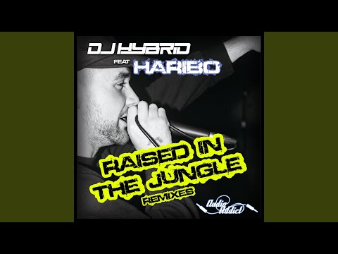 Raised In The Jungle (Swerve Remix)
