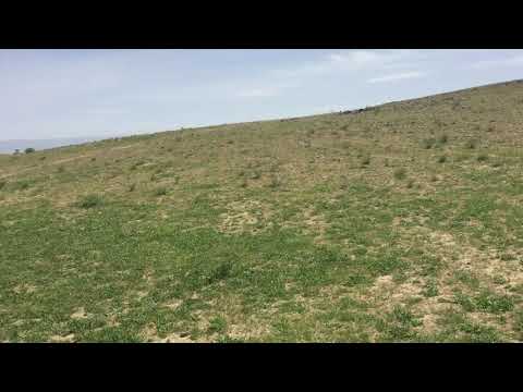 Kandahar , Afghanistan