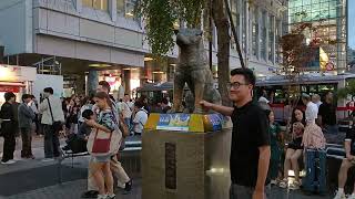 《’25.Oct.06》🚶‍➡️🚥🚶 Shibuya #ScrambleCrossing and #Hachiko.