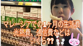 マレーシアでの1ヶ月の生活費