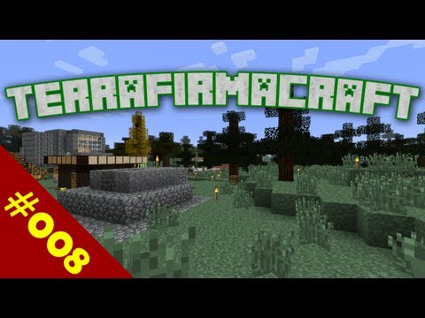 TerraFirmaCraft - S01E08: Mining and The Future