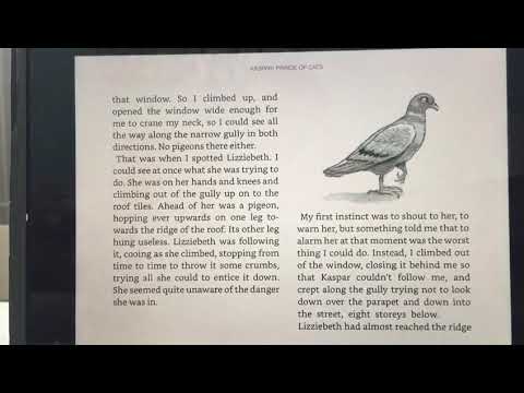 Y6 Kaspar - Chapter 5 (Part 2)