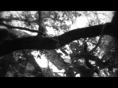 Tarzan the Ape Man (1932) [Full Movie]-Ταρζάν, ο Αρχων της Ζούγκλας -Greek Subs