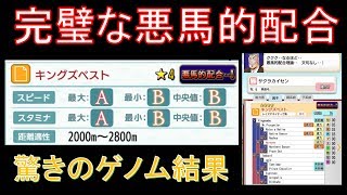 ダビマス ユキオー 使って自家製ファスオから悪馬的配合 驚きのゲノム解析結果 第108回ダービースタリオンマスターズ攻略 تحميل اغاني مجانا