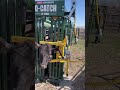 The Arrowquip Cattle Head Holder