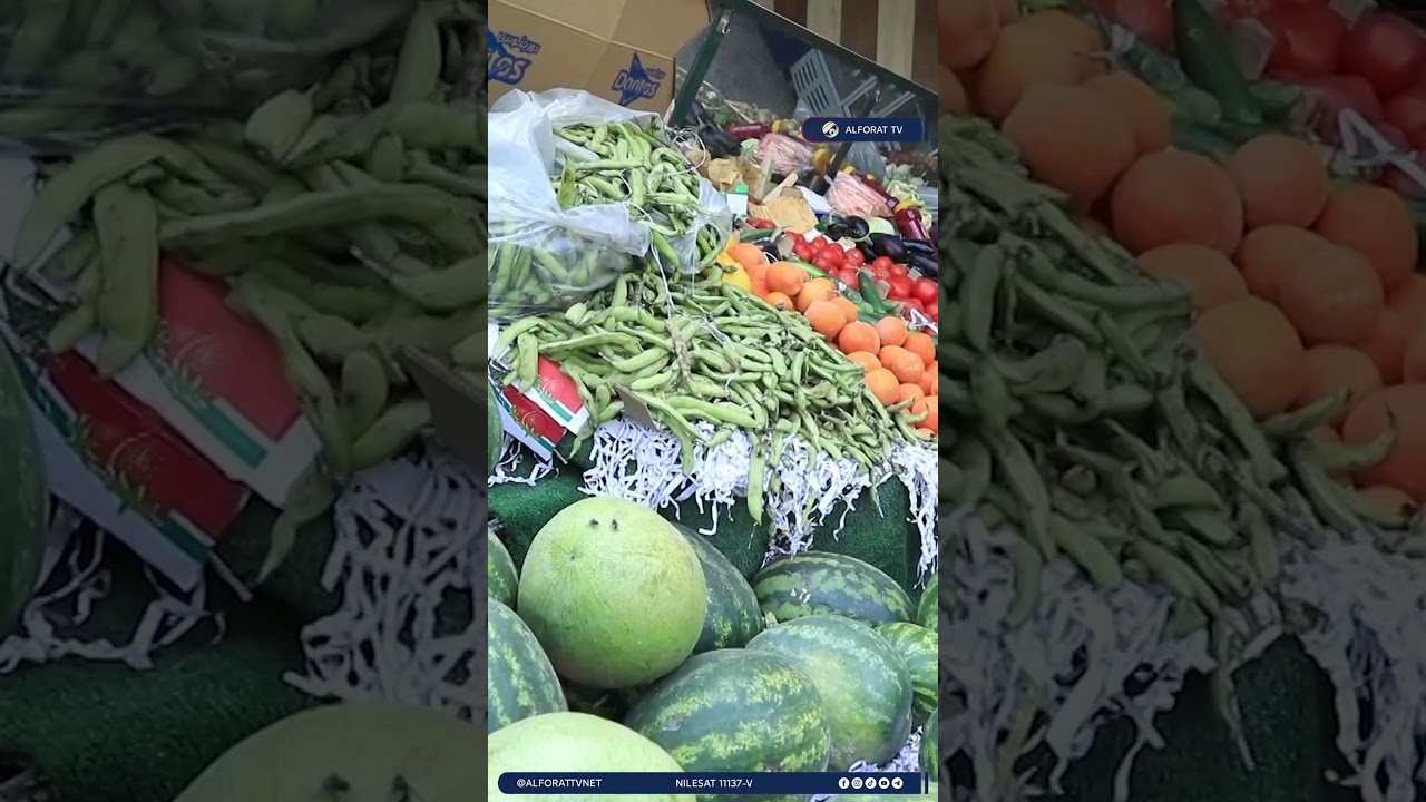 فيديو | فتح باب استيراد الخضروات بعد نفاد المنتج المحلي