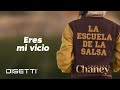 Conjunto Chaney - Eres Mi Vicio | Salsa Romantica