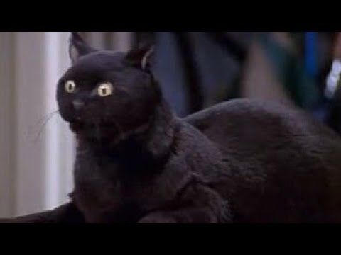 Salem Gets Turned White
