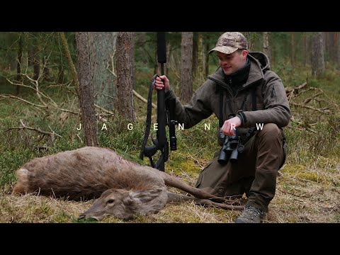 Wald und Wild im Wendland – Trailer – Jagd in den Gräflichen Betrieben von Bernstorff bei Gartow