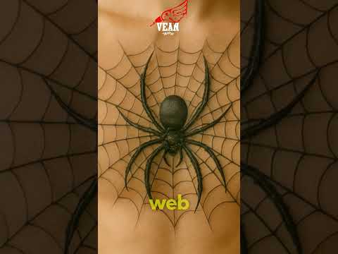 Meaning Spider Tattoo