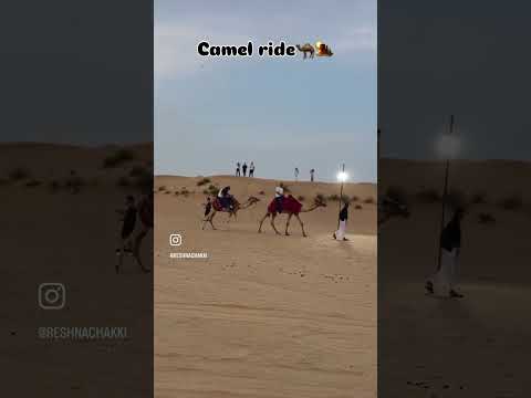Camel ride🐪