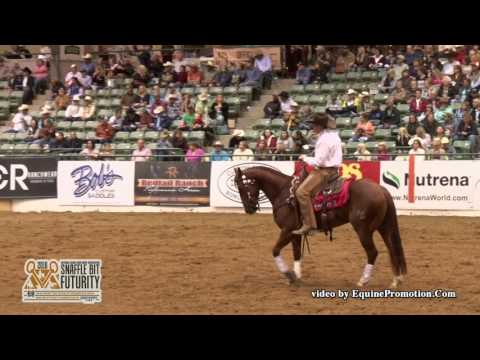 ThisCatsAMasterPiece ridden by Brandon Buttars  - 2016 NRCHA Snaffle Bit Futurity (Cow-FINALS)