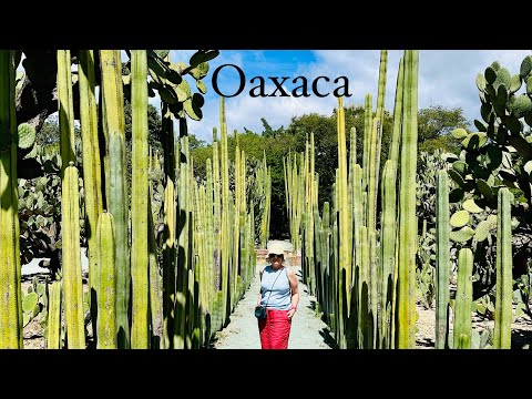 Best of Mexico Tour with Intrepid Part one: Puebla and Oaxaca
