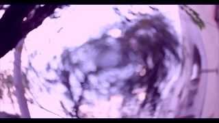 Polaroids Of Polarbears - Búfalos (Lyric Video)