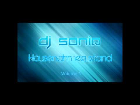 DJ SONiQ - Housenahmezustand Vol. 1 (Dirty House)