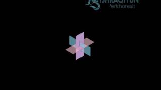 Secret Chiefs 3 (Ishraqiyun) - Perichoresis (Radio Edit)