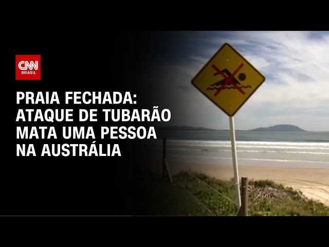 Ataque de tubarão mata mulher e fere homem na Austrália  | CNN NOVO DIA