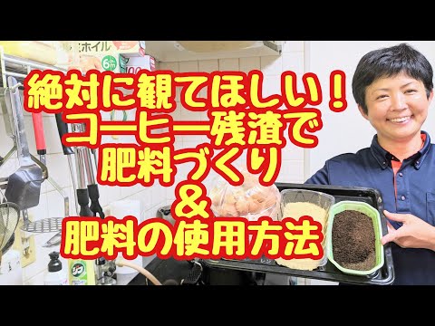 ラズベリー用のコーヒー粕：思い切って肥料に！それを最大限に活用するにはどうすればよいでしょうか?  庭園