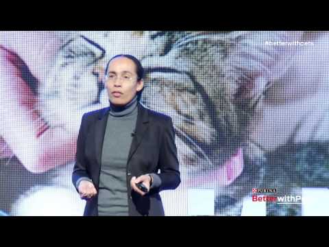 Understanding Cat Behavior: Dr. Sandra Lyn