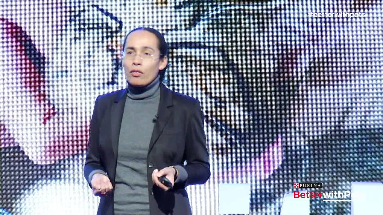 Understanding Cat Behavior: Dr. Sandra Lyn