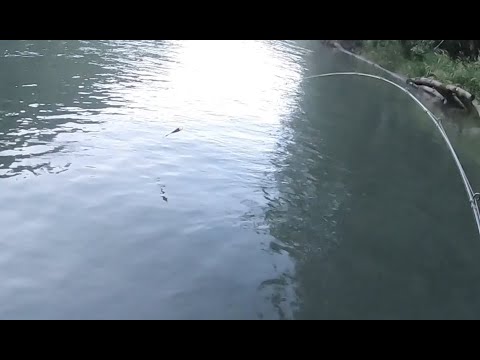 Float fishing secrets for King Salmon