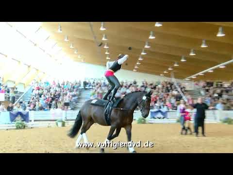 VV Neuenstein Junior - Juniorteams 16 - DJM Voltigieren München 2018